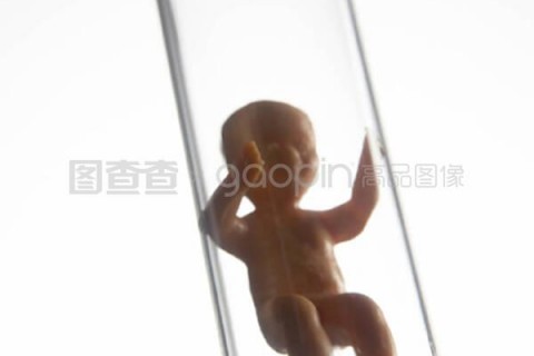 http://xian.vdtfzz.com/post/197.html|西安试管助孕