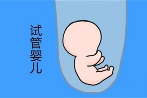 http://xian.vdtfzz.com/post/194.html|西安新闻中心